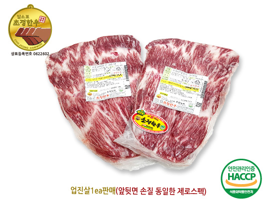 업진살1A(장원)(특)